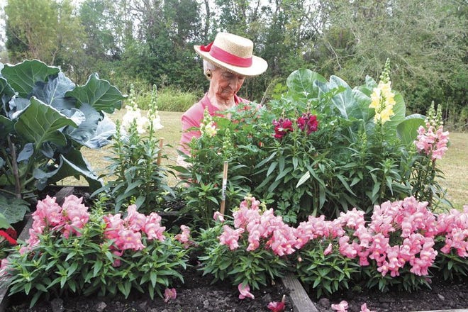 Lil Myers, a resident of Thibodaux’s St. Joseph Manor, enjoys working in her garden, and she has a beautiful display to show for it. Myers keeps the garden on the grounds of the home.