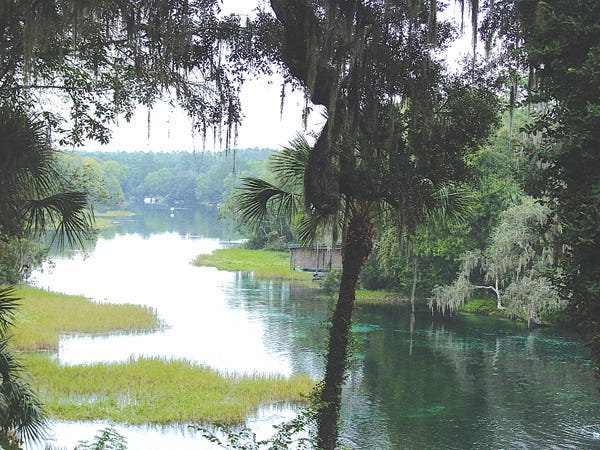 The water from Rainbow Springs flows into the Rainbow River at the state park near Dunnellon.