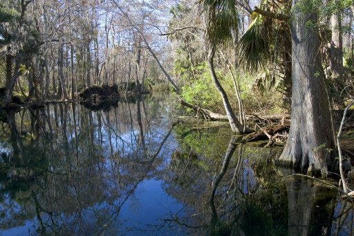 This area of the Fort King River used to be a part of Paradise Park at Silver Springs Attraction.
