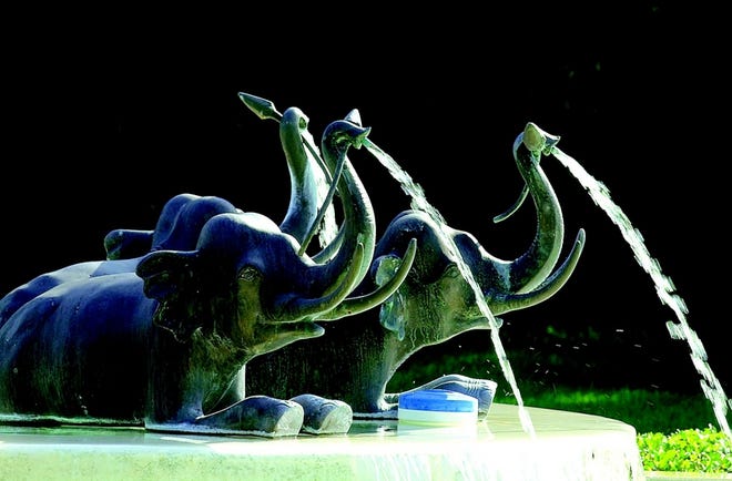 The elephant fountains bubble in front of the Appleton Museum of Art in Ocala in 2001. In May, the cast-bronze elephants were sent to Bradenton for restoration. To celebrate their return, the museum is hosting and elephant-themed homecoming Sunday from 1 to 4 p.m.