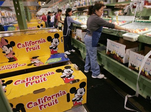 Carmen Baranjas packs nectarines in boxes labeled with Disney characters for shipment at Ito Packing in Reedley, Calif. Disney cartoon characters are popping up on fruit and vegetable packaging across the country as growers strike licensing deals with entertainment companies hungry to cultivate positive images among health-conscious parents and kids.