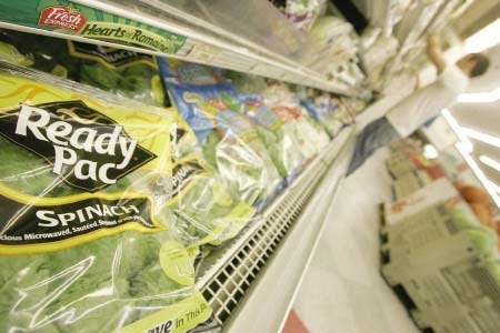 Bagged spinach is seen on the shelf at a supermarket in Washington, Friday, Sept. 15, 2006. Federal health officials worked Friday to find the source of a multistate E. coli outbreak and warned consumers that even washing the suspect spinach won't kill the sometimes deadly bacteria.
AP photo