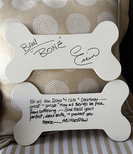 Celebs autograph 'dog bones' for charity