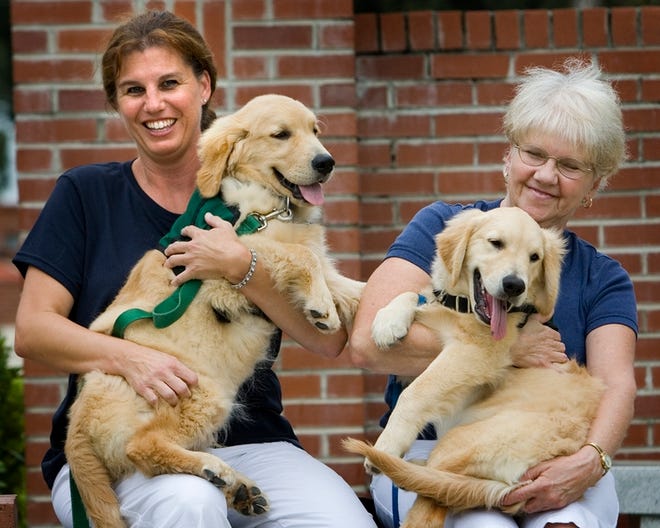 Julie Drexel, left and Dianne Farrell, both of Belleview, are training two 3½-month-old golden retrievers to become service dogs for returning veterans from Iraq or Afghanistan. The two puppies, Honor, left and Freedom will be trained by the women for the next 18 months as part of New Horizons Service Dogs.