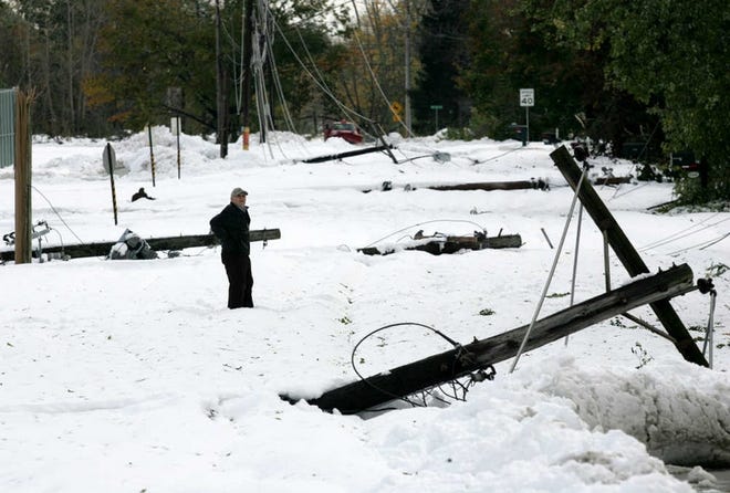 Guenter Oerlicker yesterday surveys the damage to utility poles in front of his home in a Buffalo suburb.