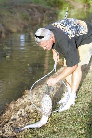 Phil Breaux catches a catfish in a ditch behind his neighbor, Hebert Dhuet’s, home Tuesday afternoon in Houma’s Mulberry subdivision.