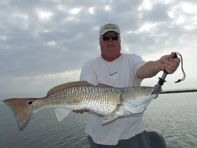 Fred Scaff caught this big red on the LSU Bayou Chub Minnow in Sister Lake in lower Dularge.