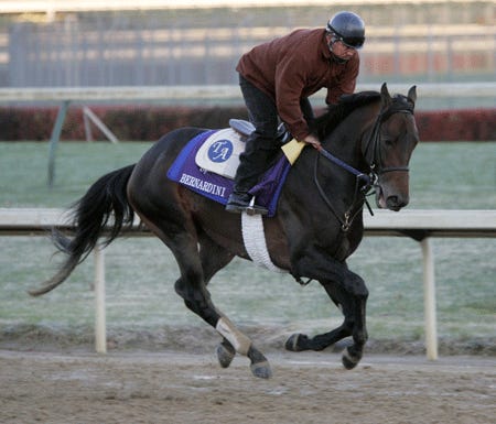Bernardini is exercised last week before his disappointing finish in the Breeders' Cup Classic at Churchill Downs in Louisville, Ky.