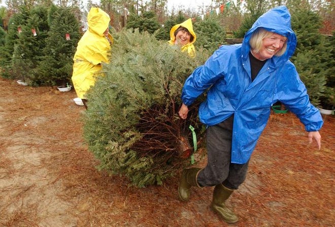 Sandy Wohlers, right, owner of Sweetwater Tree Farm in Windsor, doesn't let the rainy weather get her down as she and her friend Ellen Macklin, center, help a customer take a already cut Christmas tree to their car. Ms. Wohlers is selling trees that have been brought in from other states until her newly planted trees are ready for sale.