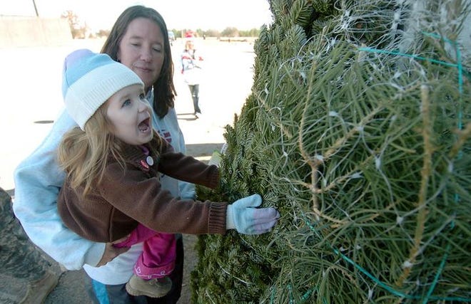 Abigail Krieg, 2, finds the Christmas tree that she wants in the arms of her mother, Joy Krieg, while the military family selects a tree at the Trees 4 Troops giveaway at Fort Gordon. Mrs. Krieg's husband, Staff Sgt. Larry Krieg, is a soldier at Fort Gordon.