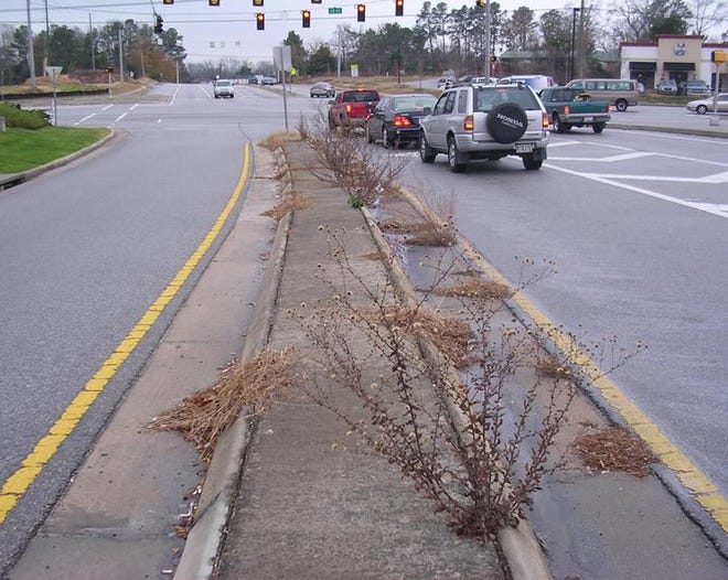 Weeds line the median on Vaughn Road at Furys Ferry Road. The Columbia County Roads and Bridges Department will look into it.