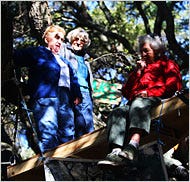 Shirley Dean, left, 71, Betty Olds, 86, and Sylvia McLaughlin, 90, took part in a tree-sit Monday to protest a plan in Berkeley, Calif., to cut down most of a stand of oaks to make way for an athletic center.