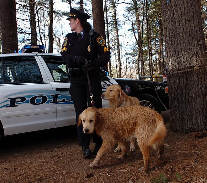 Wellesley Police Sgt. Marie Cleary holds two golden retrievers, Alec and Caleb, after one of them fell into the Charles River at Elm Bank on Saturday, Feb. 10. The dog’s owner, whose name was not released, tried to rescue the dog but fell in herself. Both the dog and owner got out safely before rescue personnel arrived.