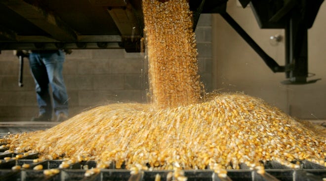 Corn is unloaded at the Badger State Ethanol plant in Monroe, Wis., in this Sept. 23, 2005, photo.