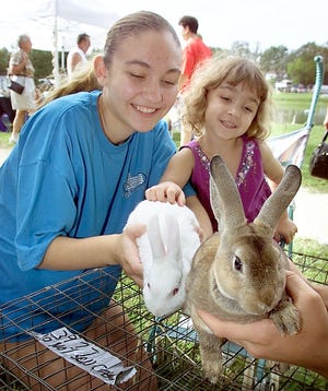 Campaigns such as "Make Mine Chocolate" discourage families from purchasing rabbits at Eastertime. The bunny's fragile bones and need for attention make them unsuitable pets for young children.
