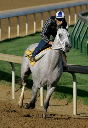 Storm In May, with jockey Juan Leyva riding, works out