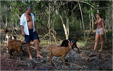 Goats of the Galápagos Islands, many of them kept by local families, are descendants of animals left by 19th-century sailors. Now, they and other foreign species threaten the fragile ecosystem.