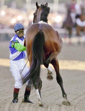 Jockey Edgar Prado’s quick thinking helped save Barbaro’s life after a gruesome breakdown, but the colt had to be euthanized more than eight months later after complications began to take their toll.
