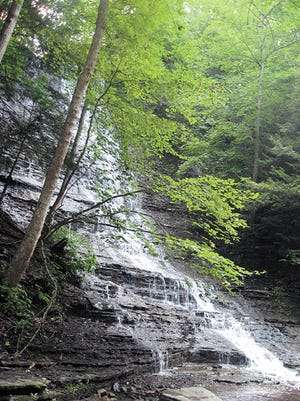 Grimes Creek tumbles through a series of falls into the glen — a treasured spot that the Finger Lakes Land Trust would like to purchase.