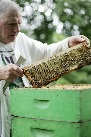 Howard Crawford, who has been a beekeeper for 45 years, has struggled with his Franklin beekeeping operation since the winter, when the vast majority of adult bees left 10 of his 21 colonies.