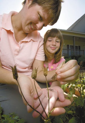 Charlotte Glen and her daughter, Hannah, 9, collect seeds from columbine seed pods at their home in Burgaw, N.C. Glen's columbines are grown from seeds given to her by her grandmother when Glen was about 10 years old.