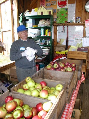 Volunteer Paul Lucier polishes a Cortland apple at Sholan Farms.