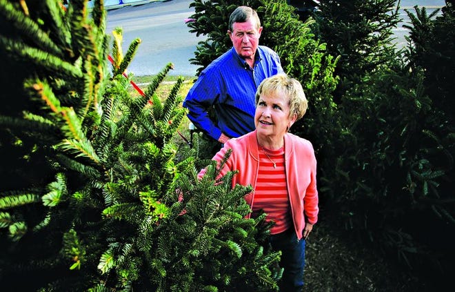 Elizabeth and Horace Quincy of Trenton, Florida looks at a 6-foot Douglas Furs tree in search of a Christmas tree at Norman's along Archer Road on Tuesday, December 4, 2007.