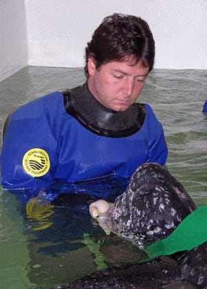 New England Aquarium veterinarian Charles Innis examines a leatherback turtle. Innis has found the reptiles fascinating since he was a boy. "When I was young, everybody bought me whatever turtle figure they could find," he said in a recent interview at the Boston facility.