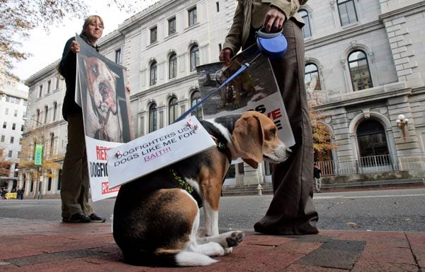 Frankie the beagle carries a sign as part of a protest by the People for the Ethical Treatment of Animals outside federal Court in Richmond, Va., Monday. Atlanta Falcons quarterback Michael Vick was sentenced to 23 months in prison Monday for his role in a federal dogfighting conspiracy.