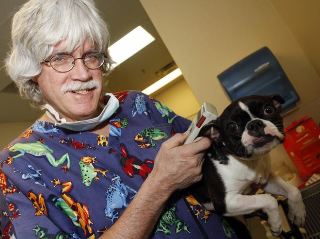 Dr. Kevin Fitzgerald of the Alameda East veterinary hospital uses a scanner to check the microchip placed in an 8-month-old Boston Terrier named Shelby in east Denver.