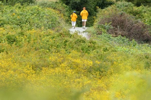 A couple walk a trail at the National Seashore’s Fort Hill area in Eastham. The U.S. Interior Department is finalizing a uniform fee and permit schedule for professional, not amateur, photographers.