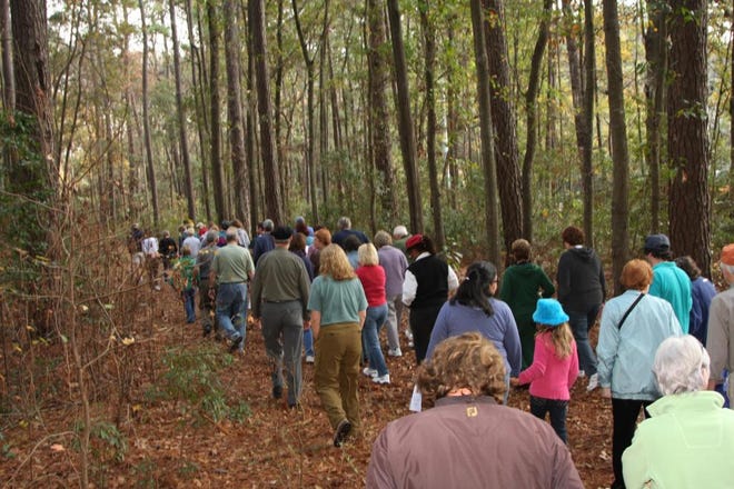 More than 50 people participated in the monthly Bacon Park Forest Discovery Walk on Jan. 13 sponsored by the Savannah Tree Foundation.
