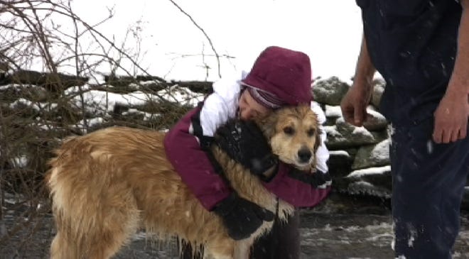 Lauren Ferroli hugs her dog after it was rescued from Town River in West Bridgewater by two Good Samaritans.