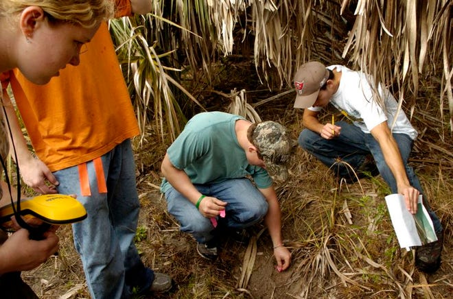 Venice High School students Hannah Wilkins, left, holds the GPS as Cody Reinert, center, and senior Nate Levine, right, investgate a burrow for signs of activity during a field trip on Wednesday, March 12, 2008 in Caspersen Park. The students are in Barry Rosenheim's zoology class and zoology club who were on a field trip with the help of a $1000 grant from Target to do a gopher tortoise study alongside five experts. (STAFF PHOTO / JENNA ISAACSON)