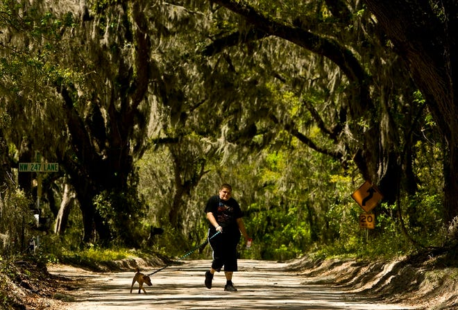 Ann Mikeal walks her dog Miki down Bellamy Road on Thursday in High Springs. The road, commissioned in 1824, was the first federal highway in Florida.
