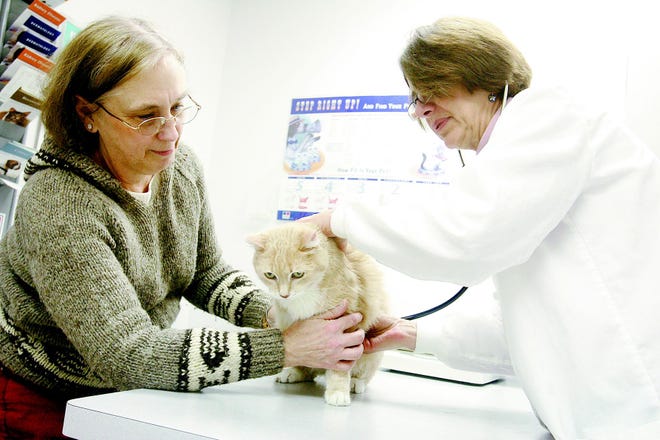Dr. Linda Schneider checks the heart rate of Chester, a 13-year-old cat with three legs who was adopted by Susan deNavarrete, left, of Newark. Schneider said an increased number of pet owners are investing in insurance for their pets.