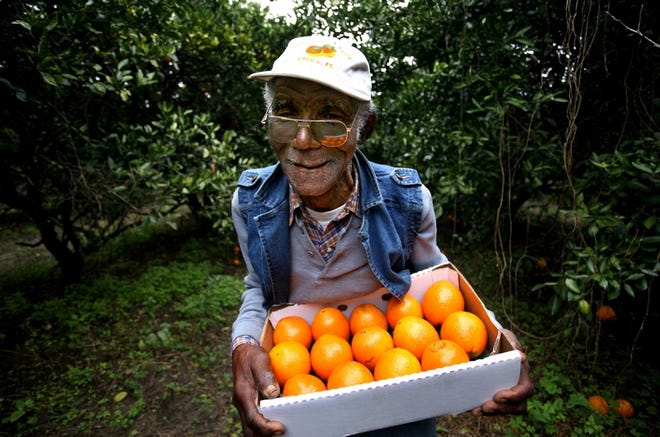 Fletcher Kelly, an employee at The Orange Shop along U.S. 301 in Citra for more than 50 years, began his career harvesting fruit after he returned to the area after World War II.