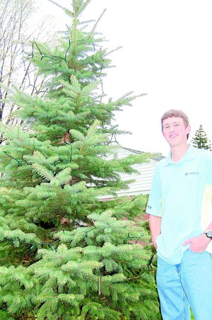 John Potok, a senior at Hillsdale High School, planted this Blue Spruce tree in his yard on Arbor Day when he was in first grade at Gier Elementary School.