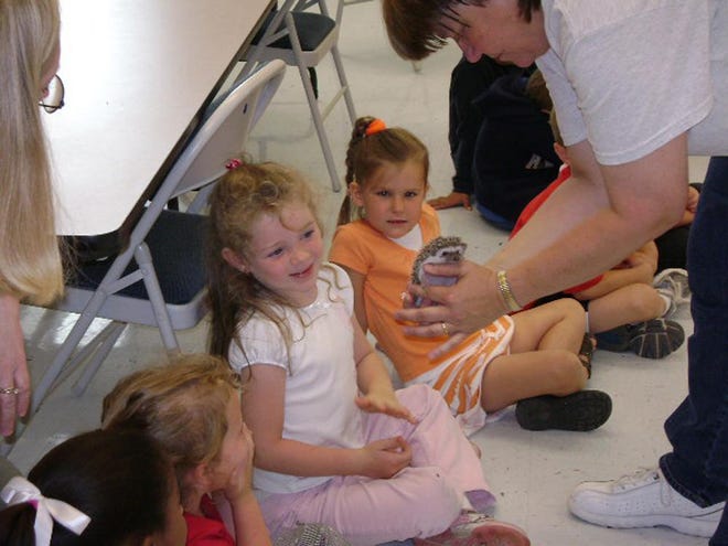 Peyton Radcliffe (left) and Malena Nicholson look closely at a hedgehog from Critters-To-Go, a mobile petting zoo that recently visited Marlow Learning Center.