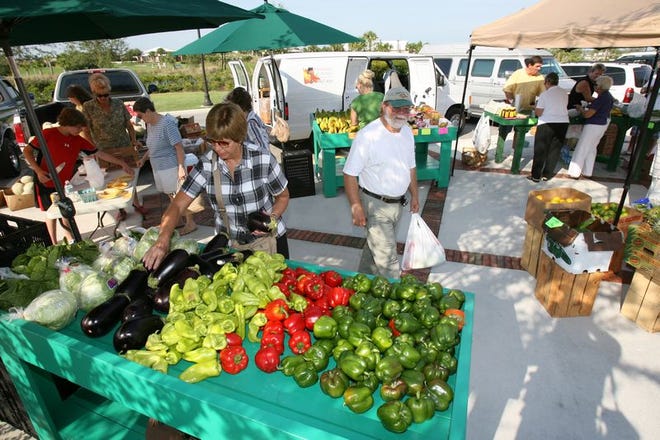 Pick and choose: Customers browse through produce at the farmer’s market at Circle Square Commons at On Top of the World in Ocala.