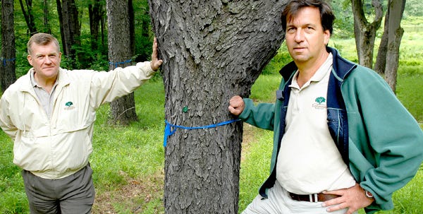 Axel Baudach, right, founder of EcoEternity, and Jack Lowe, president, stand by a tree reserved for EcoEternity at Pocono Plateau Camp and Retreat Center.