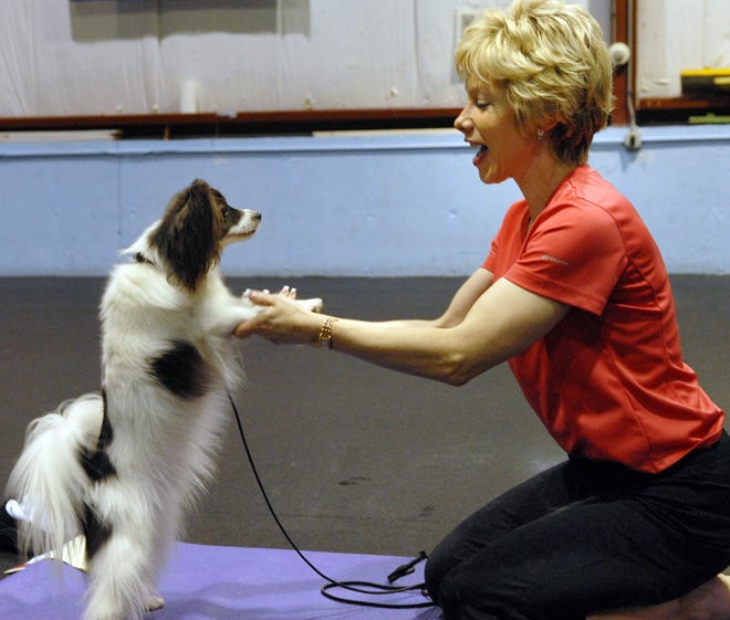 "Doga" instructor Carolyn Ronca teaches Boo, a papillon, a few techniques at MasterPeace Dog Training in Franklin.