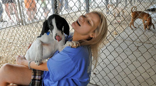 Leigh Grady, executive director of The Animal Shelter Inc. of Sterling, with Molly, a mixed hound dog rescued in Louisiana who is now looking for a new home.