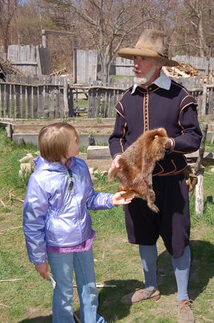 In an old picture an interpreter at Plimoth Plantation holds one of the fur pelts that was stolen last weekend when vandals trashed the Pilgrim village.