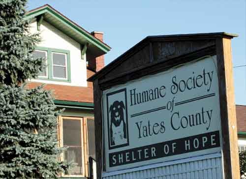The Yates County Humane Society's Shelter of Hope.
