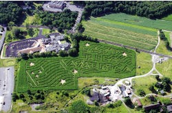 Photo by A Different Perspective Aerial Photography 
This year, Lentini’s corn maze is in a patriotic design in honor of the 2008 presidential election. The maze, which is located on Route 94 in Fredon, just outside of Newton, will open Sept. 19.