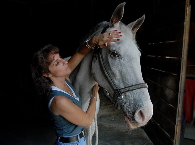 Julie Mahoney of Holliston pets her horse, Babe, who is 37 years old but healthy considering her advanced age, Thursday in Franklin.