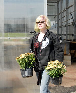 Erin Crowley of Adrian, a Lenawee Intermediate School District horticulture student, carries two mum plants out of the greenhouse at the LISD Agricultural Technology Center in Adrian during an open house on Saturday.