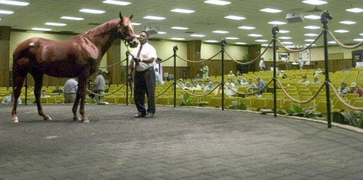 Ringman Edward Farmer shows a horse up for auction to a mostly empty auditorium during the third day of the Fall Mixed Sale at Ocala Breeders' Sales on Wednesday. Sale prices were down and buybacks were up this year.