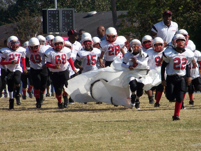 Donaldsonville Youth Tiger football B-team are Super Bowl Champs for 2008.